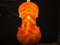 Violin maple / poplar